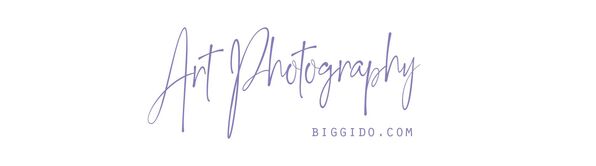 ART PHOTOGRAPHY - biggido